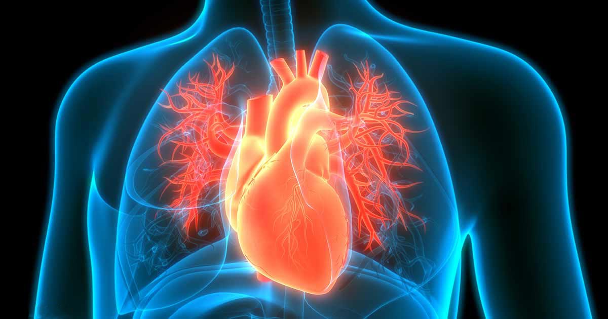 Omega-3 e vitamina D podem reduzir as complicações da insuficiência cardíaca