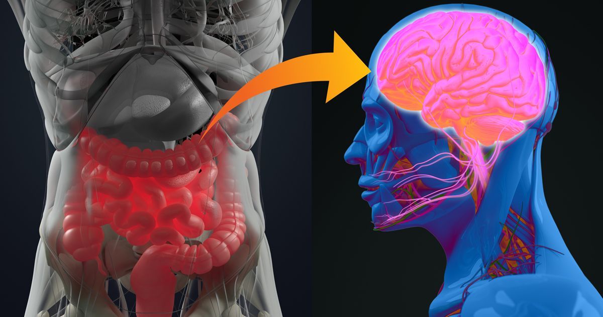 O papel do intestino na doença de Parkinson