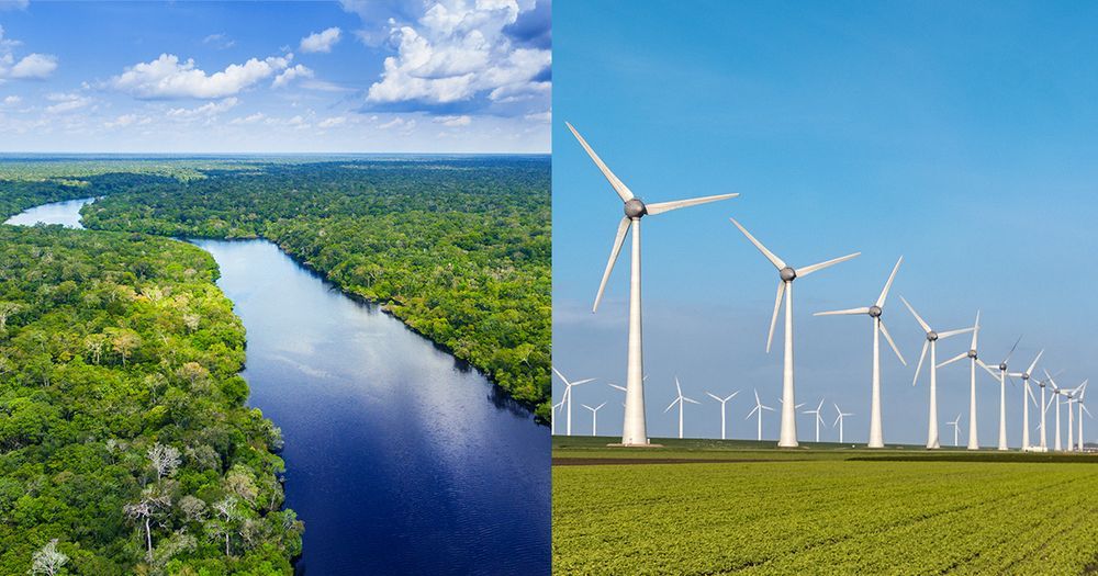 Desmatando a Amazônia para criar moinhos de vento para gerar energia verde?