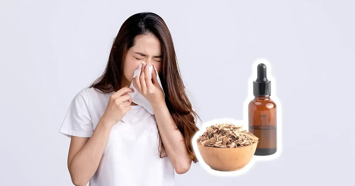 Os diversos efeitos antivirais do extrato de casca de salgueiro
