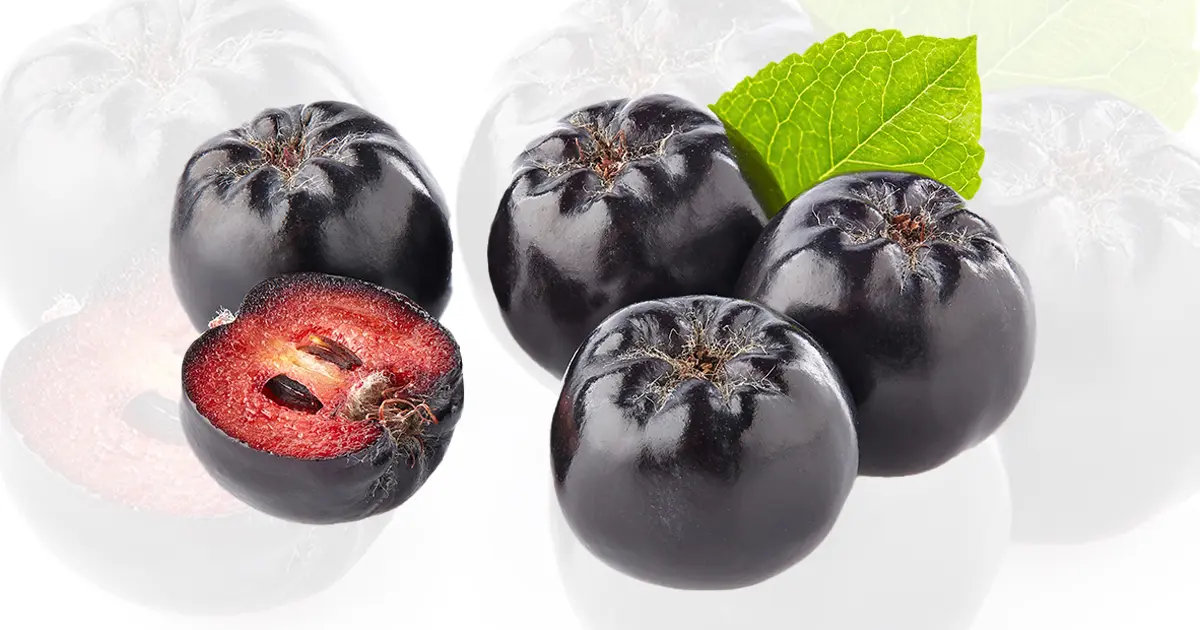 Quais são os benefícios que a Aronia, também conhecida como amora, proporciona para a saúde?