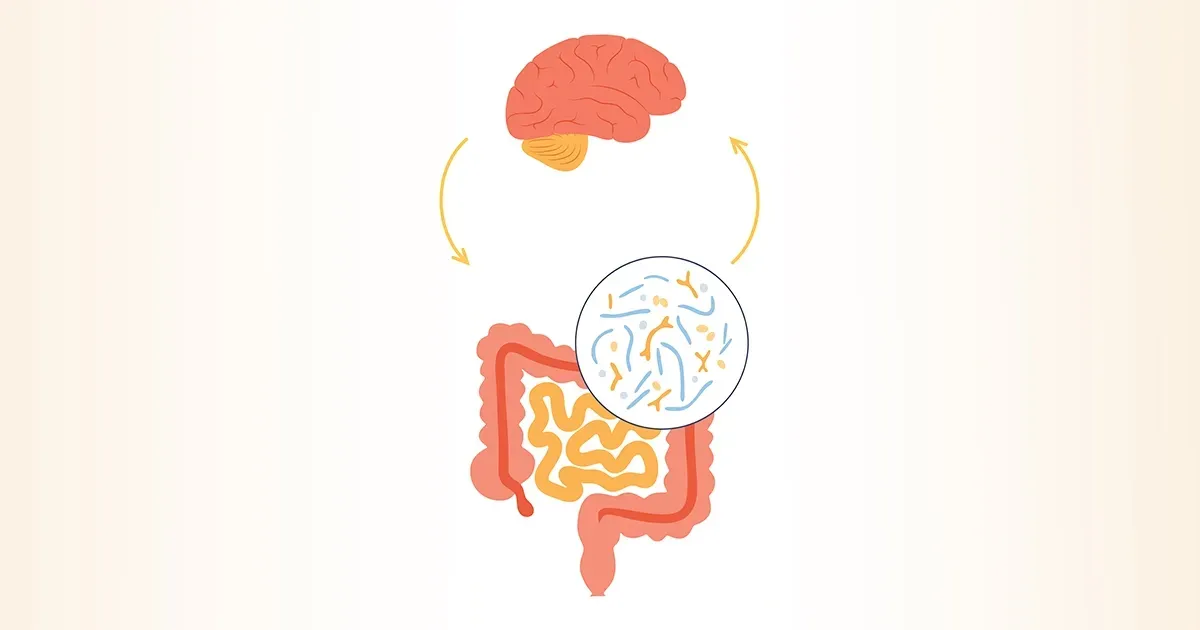 Como as bactérias intestinais modulam as respostas ao estresse