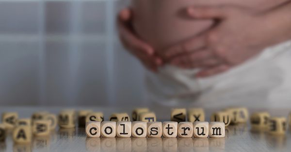 Como o colostro pode beneficiar sua saúde imunológica