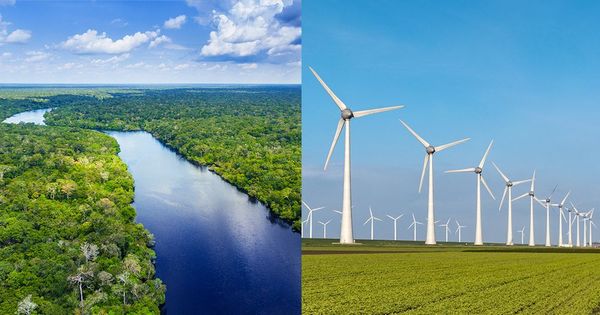 Desmatando a Amazônia para criar moinhos de vento para gerar energia verde?