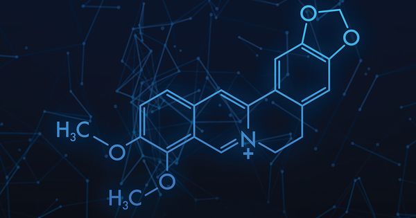 Essa é uma opção natural para injeções 'magras' prejudiciais?