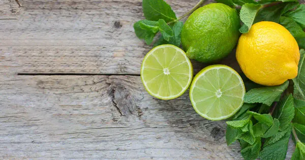 O limão e seus mais de 13 benefícios para sua casa e saúde