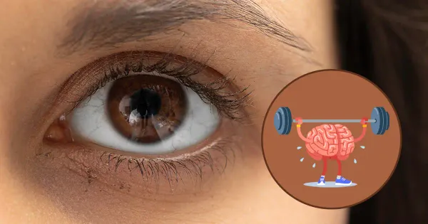 As pupilas podem indicar como exercícios levem podem afetar seu cérebro?