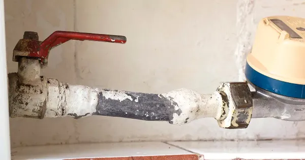 Lesões hepáticas são relacionadas a exposição de baixo nível ao chumbo por nova pesquisas