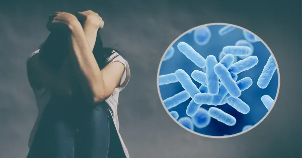 Como os lactobacilos podem proteger suas saúde?