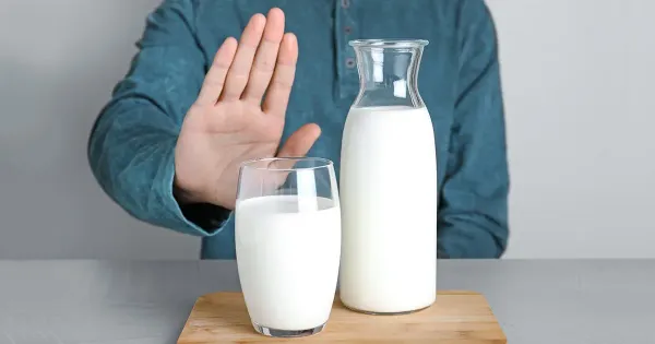 Você está bebendo leite fermentado OGM?