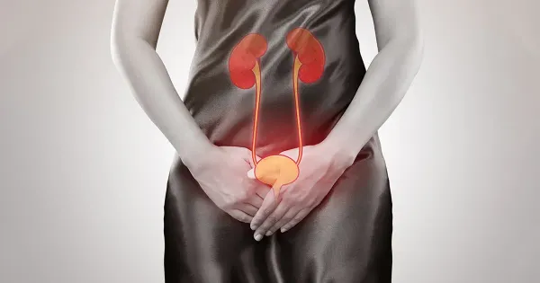 Existe uma forma natural de se proteger contra infecções do trato urinário?
