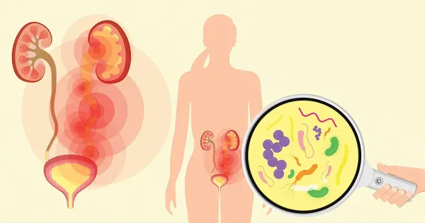 Quais as principais causas e complicações de infecções do trato urinário?