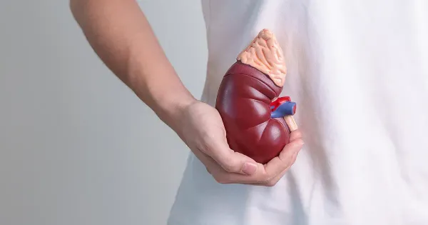 Fadiga adrenal: O que é e como tratá-la