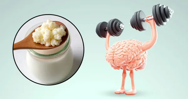 Como os alimentos fermentados ajudam a promover uma melhor saúde mental