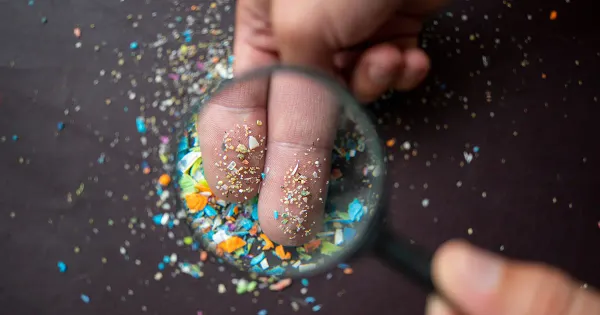 Como os microplásticos se acumulam no cérebro e em outros órgãos